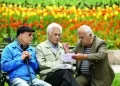  معوقات همسان سازی حقوق بازنشستگان تامین اجتماعی واریز شد